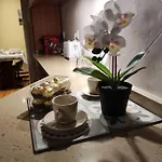 Acolhedor No Coracao De